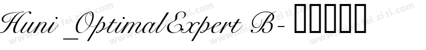 Huni_OptimalExpert B字体转换